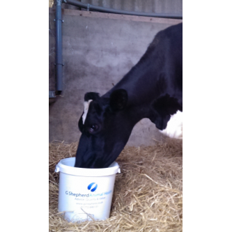 The Best Start to a Great Lactation- Fresh Cow Care
